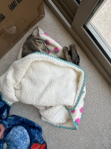 Customer photo review of Strawberry Puff Blanket