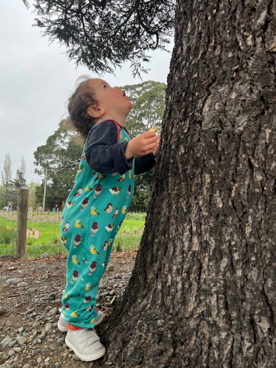 Customer photo review of Garden Birds Everyday Dungarees