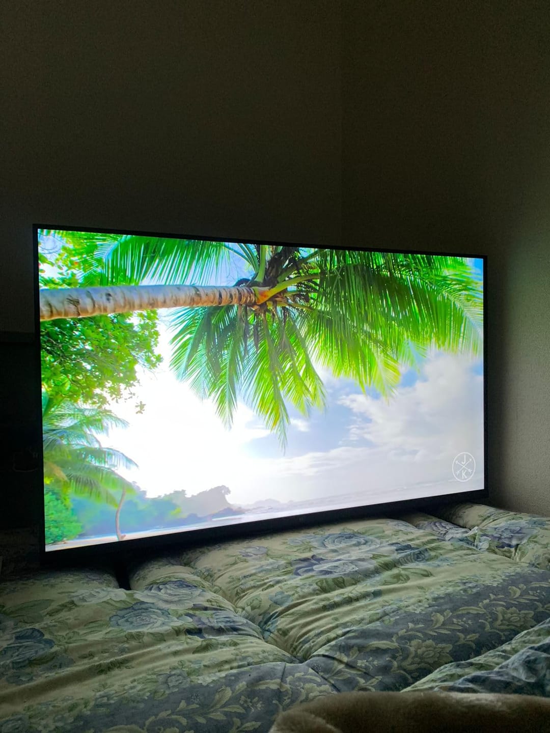 Customer photo review of 43 inch Canvas Series Google TV