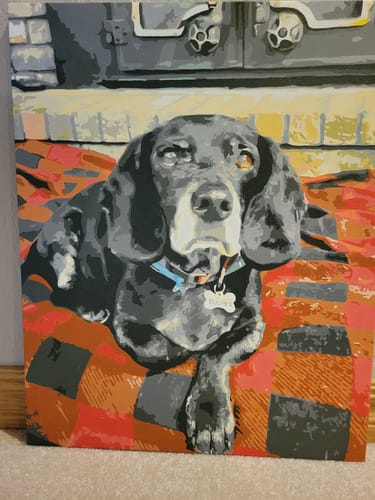 Customer photo review of Custom Paint by Numbers Kit