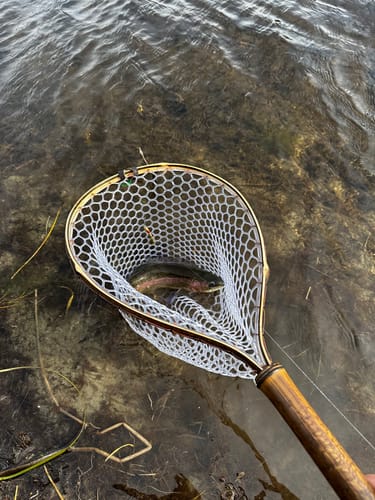 Customer photo review of Rare Earth Tether