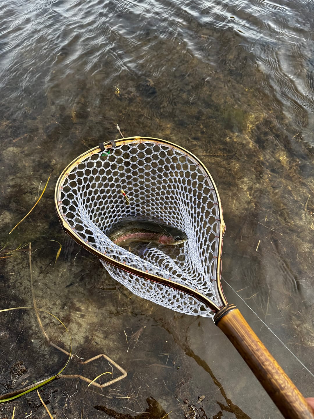 Customer photo review of Rare Earth Tether
