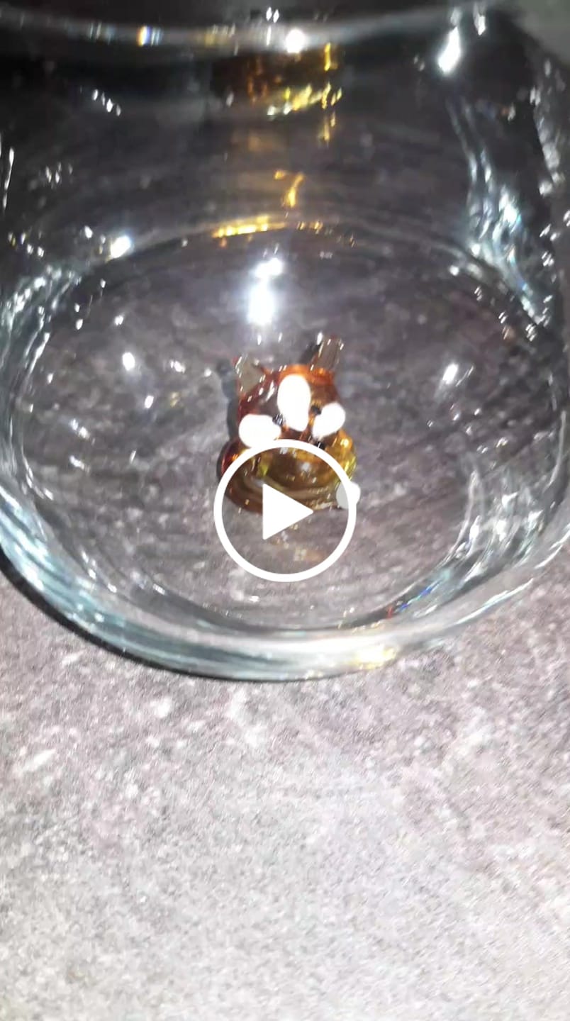 Customer video review of Fox Glass