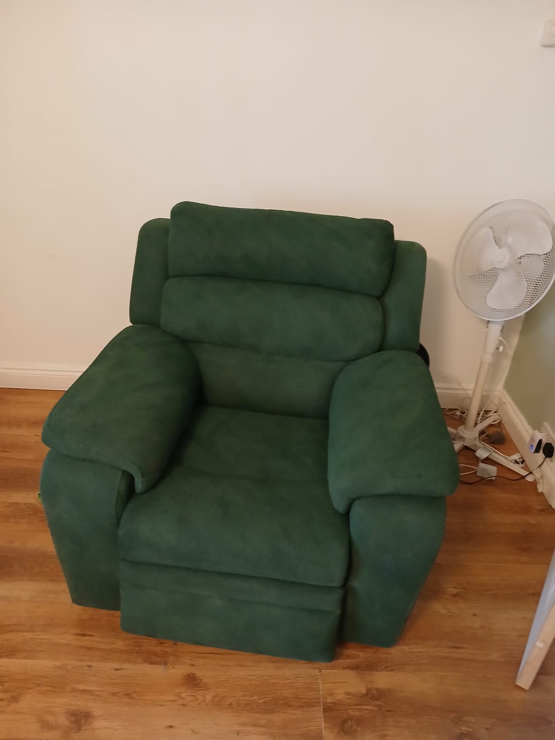 Customer photo review of Fabric Paint -- Green