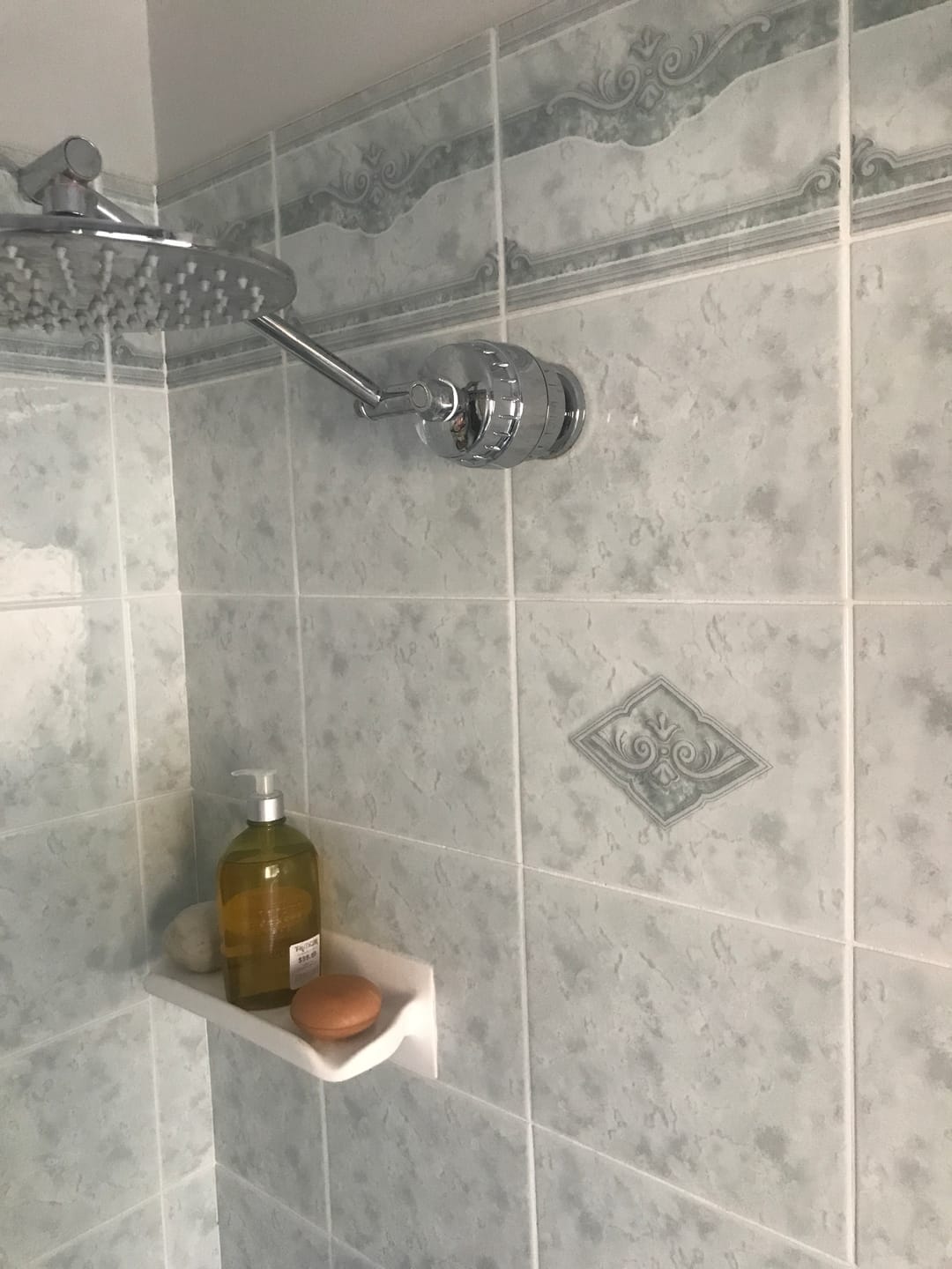 Customer photo review of HolyH2O™ Shower Mate (Filter Attachment)