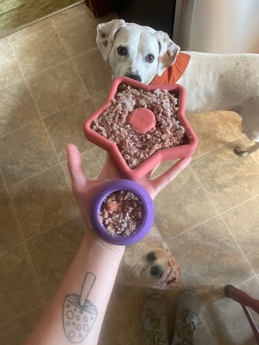 Customer photo review of FreezStar - Long-Lasting Star Chew