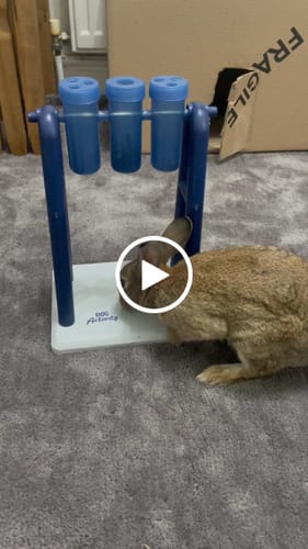 Customer video review of Timothy Hay Box 'Blend'
