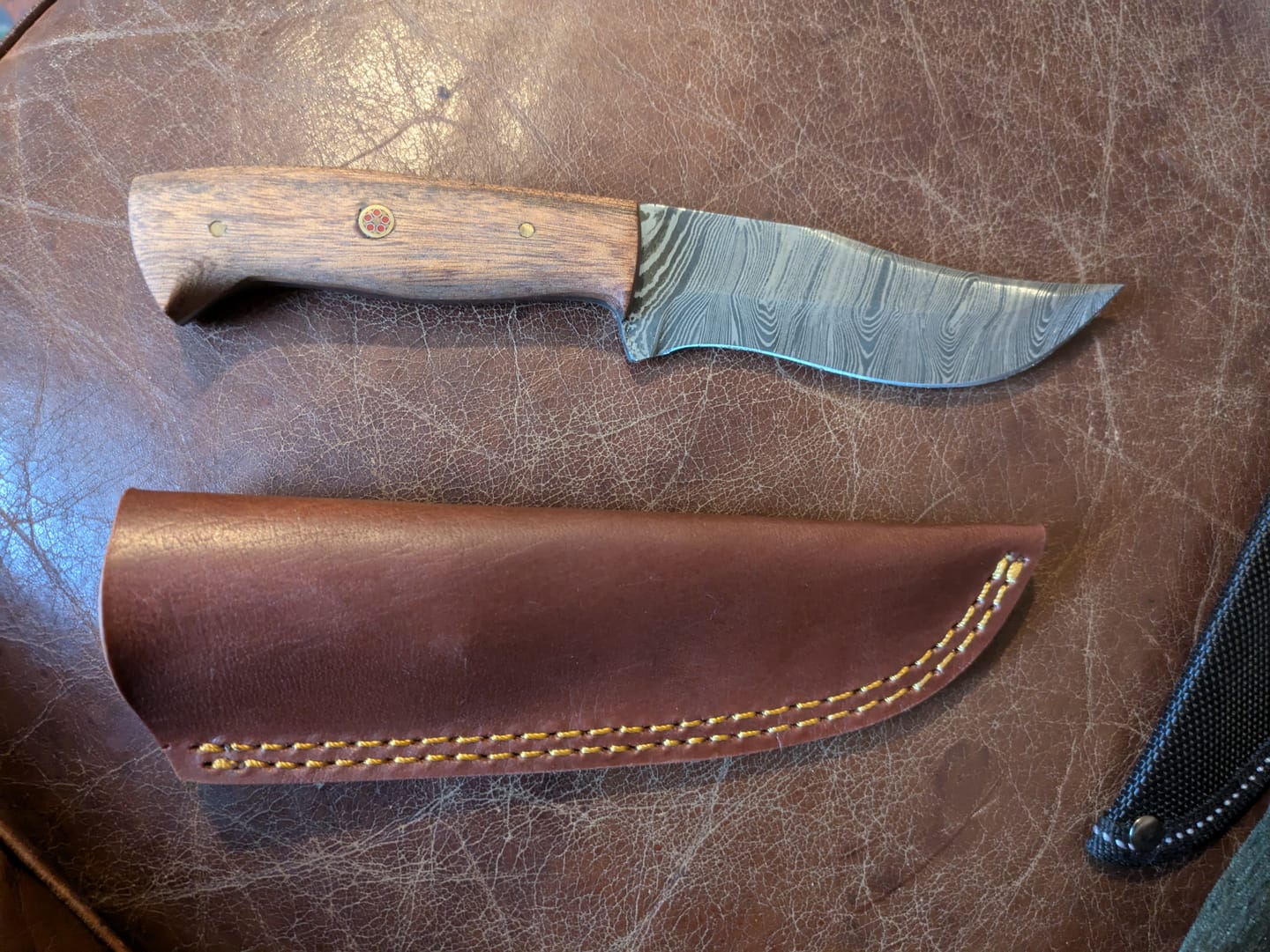 Customer photo review of Seconds Lucky Dip Damascus Knife