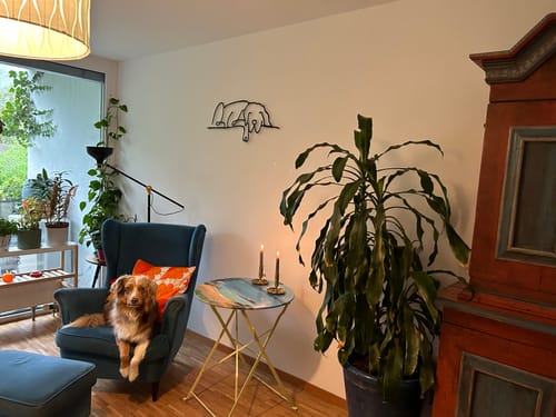 Customer photo review of Compagnon Dormant