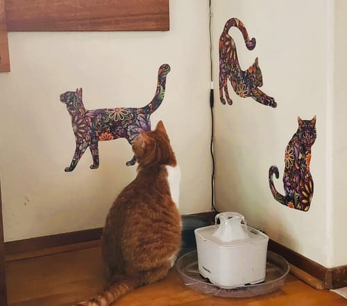 Customer photo review of Cat Wall Sticker Trio - Set of 3 Stickers - Repositionable Cat Wall Decals in Flower Pattern
