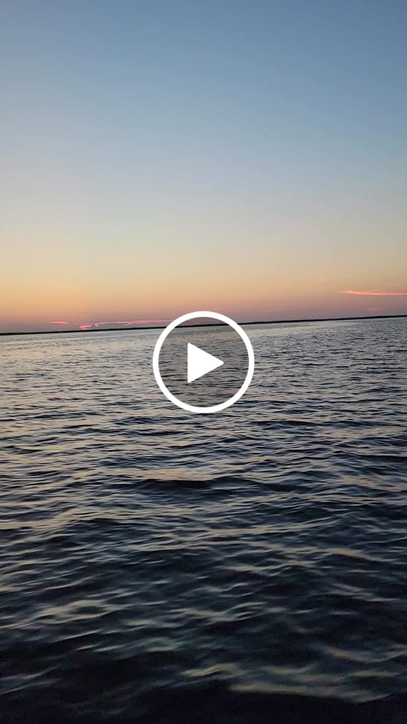 Customer video review of Suzuki Genuine Watergrip© Propeller DF150/175/200/225/250/300