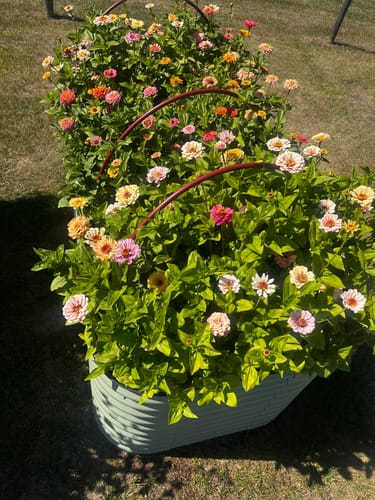 Customer photo review of 32" Tall Modular 9 in 1