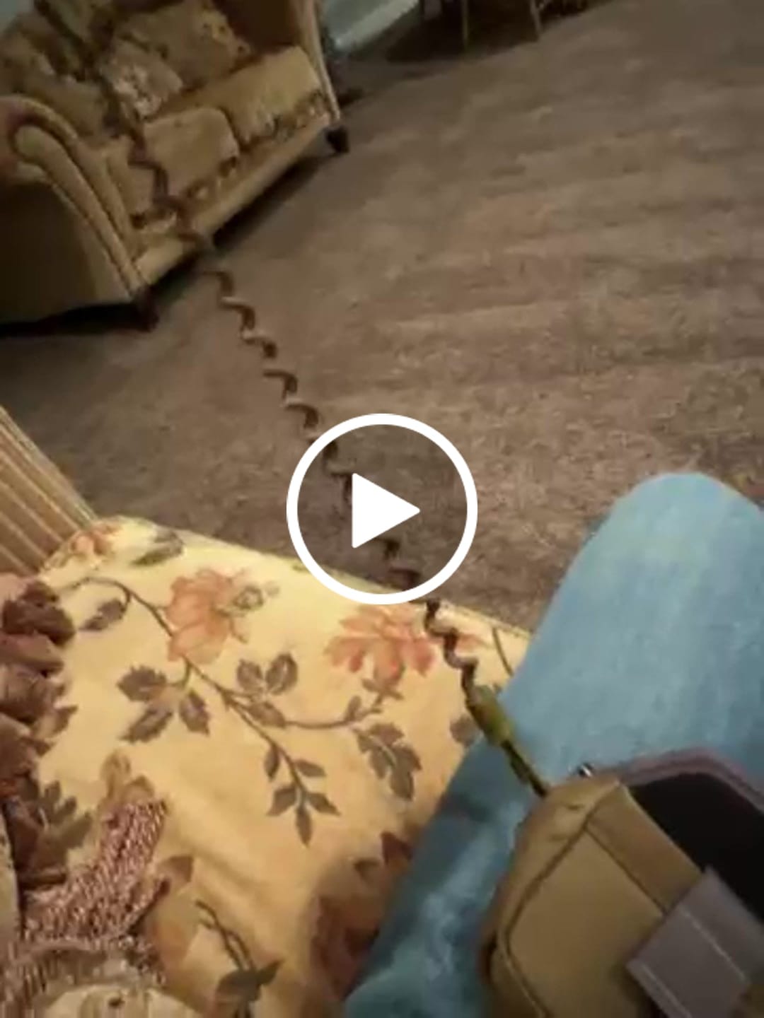 Customer video review of Game Changer Cord Leash