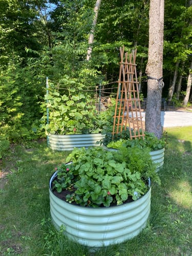 Customer photo review of 17” Tall Large Round