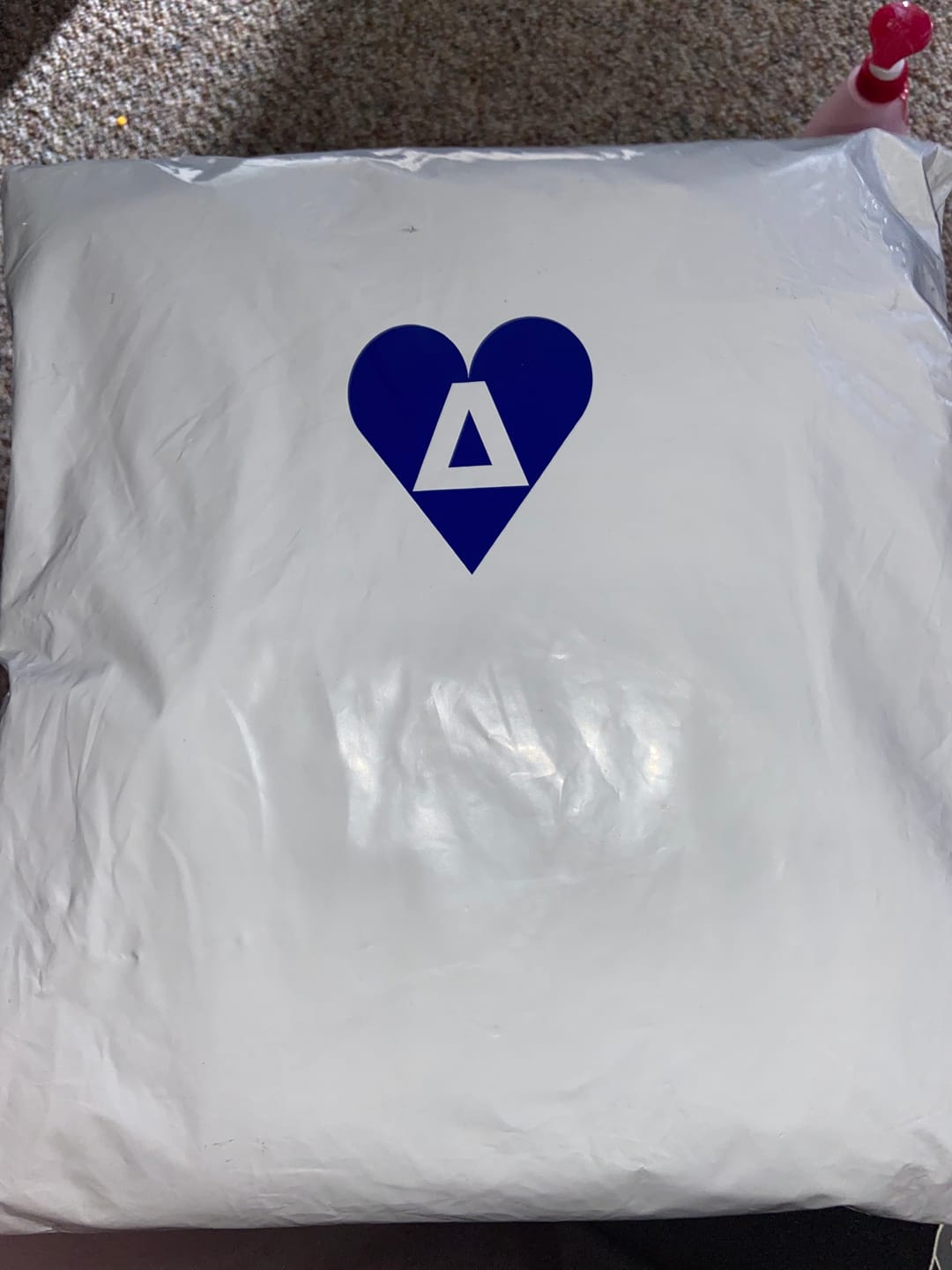 Customer photo review of Aelfric Eden Stellaris Embroidered Hoodie