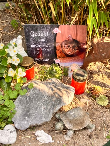 Customer photo review of Katzen Gedenktafel mit Foto & Spruch (UV- & Wetterfest)