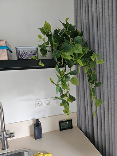 Customer photo review of Bloempot Elho B. for soft rond 14cm Anthracite