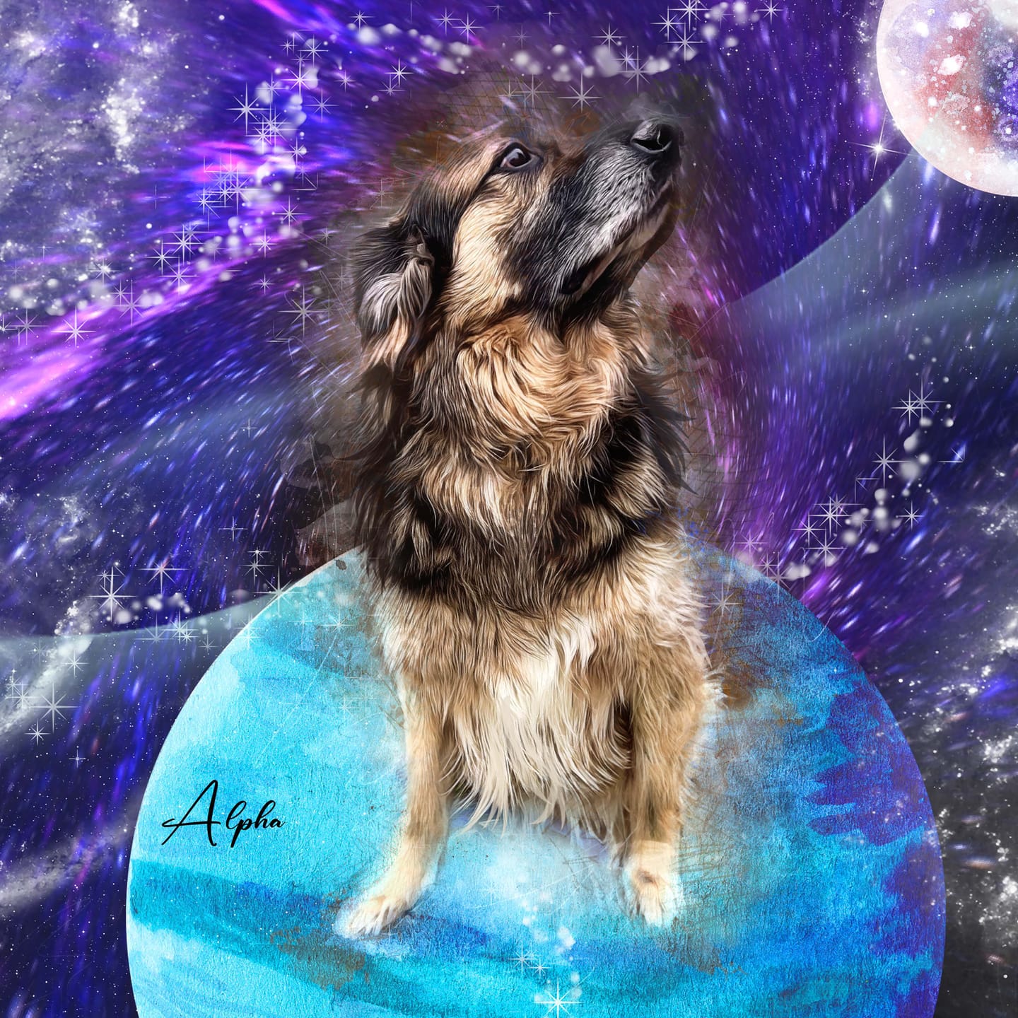 Customer photo review of Watercolor Pet Art - Pet Galaxy (PG)