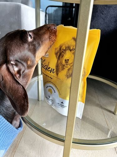 Customer photo review of Bugsy's Air-Dried Chicken