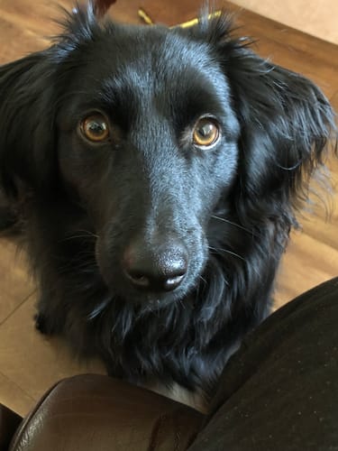 Jullee M. review of FREE Taste Testing Bundle image 1 out of 1