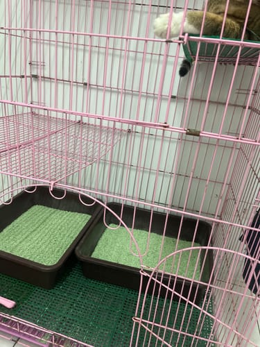 Customer photo review of PANI 99%無塵豆腐砂-原味 薰衣草 綠茶 7L (2.8kg) x 6入/箱