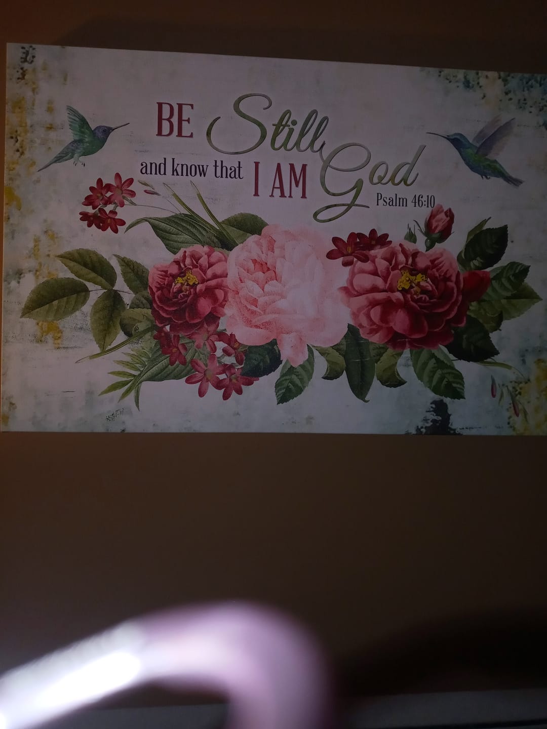 Customer photo review of Be Still and Know That I Am God, Vintage Flower Hummingbird, Wall art canvas