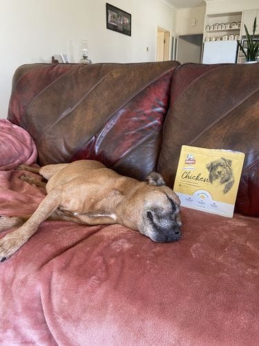 Customer photo review of Bugsy's Air-Dried Chicken