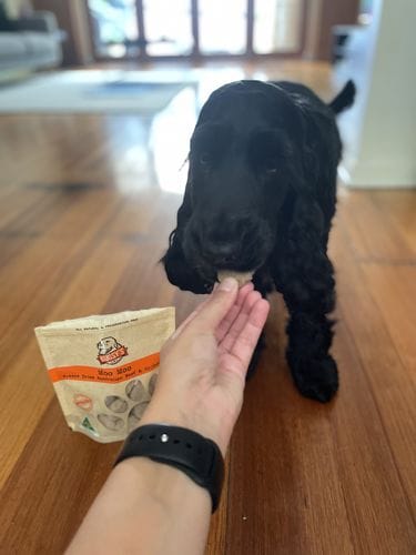 Customer photo review of Moo Moo | Beef & Goji Berry