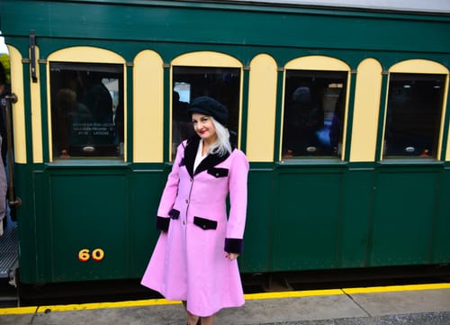 Customer photo review of Pink 1930s Velvet Patchwork Button Coat