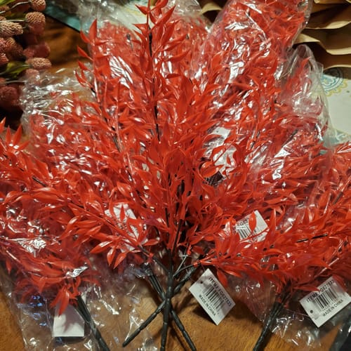 Customer photo review of 17.25"L Ruscus Bush X7 Christmas Red FG627533