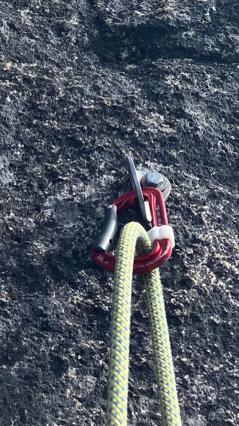 Customer photo review of "Soft-Cinch" - Lead Rope Solo Backfeed Preventer (5 Pack)