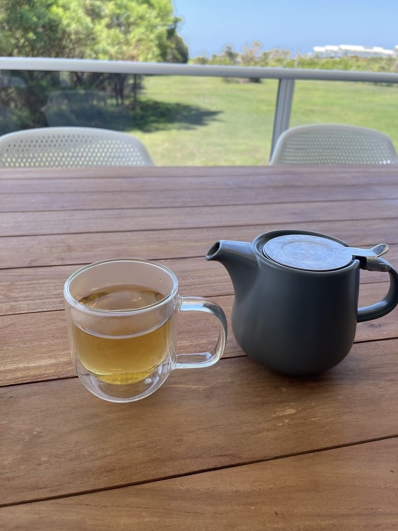 Customer photo review of DIGESTIVE ~ Digestion and Gut Health