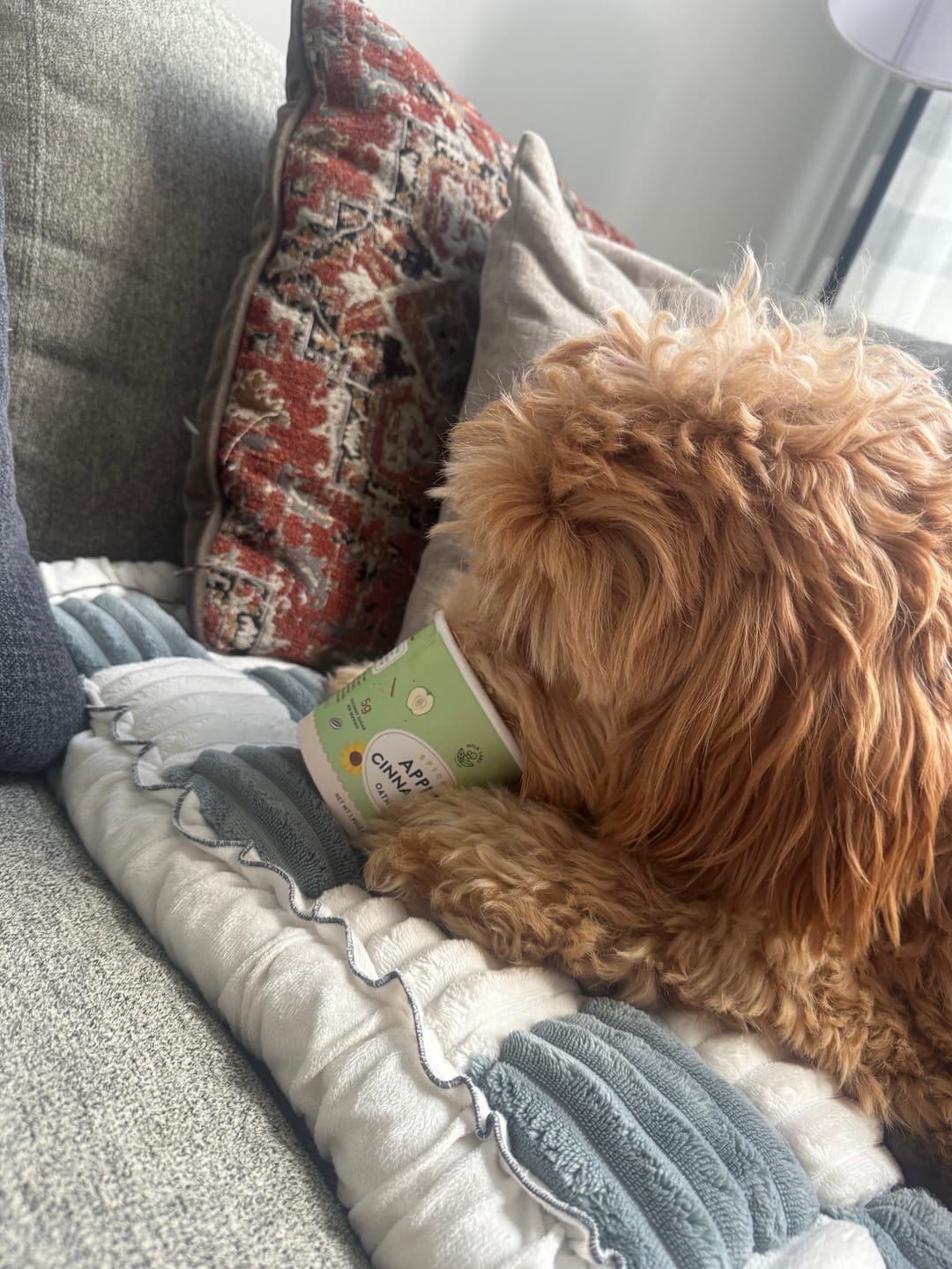 Customer photo review of Apple Cinnamon Oatmeal