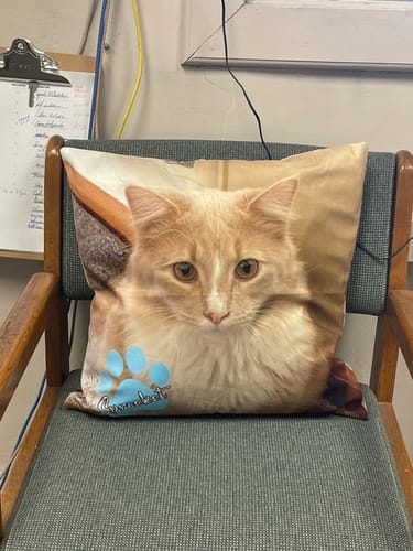 Customer photo review of Personalized Photo Pet Pillow Unique Home Decor