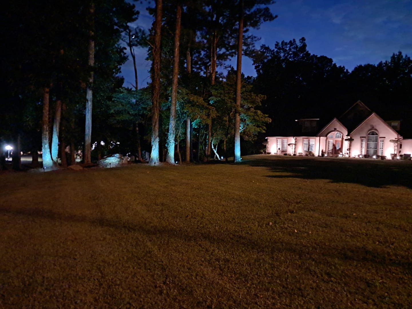 Customer photo review of TSUN Solar Spotlights For Trees Cool White