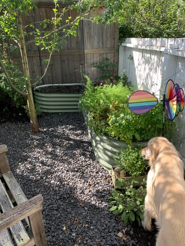 Customer photo review of 17” Tall L-Shape