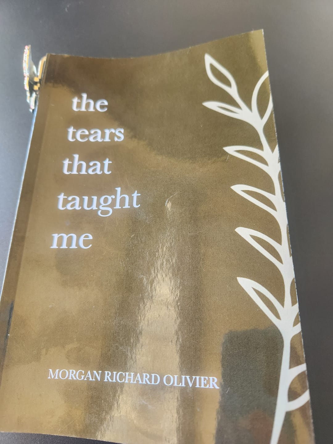 Customer photo review of The Tears That Taught Me