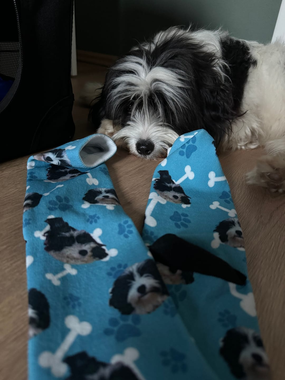 Customer photo review of Personalisierte Hundesocken