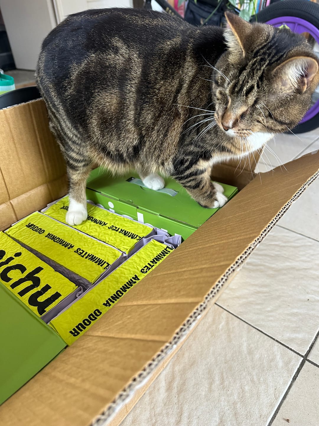 Customer photo review of Michu Premium Mixed Tofu Cat Litter Pro Gen2 6L- Superb in Flushable, Eco-Friendly & Odour-Control
