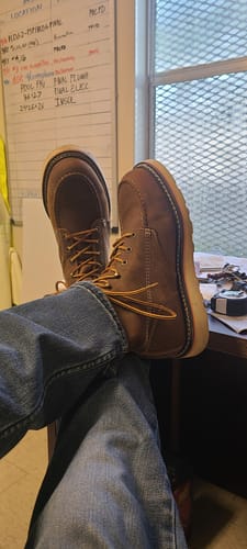 Customer photo review of Buckhannon