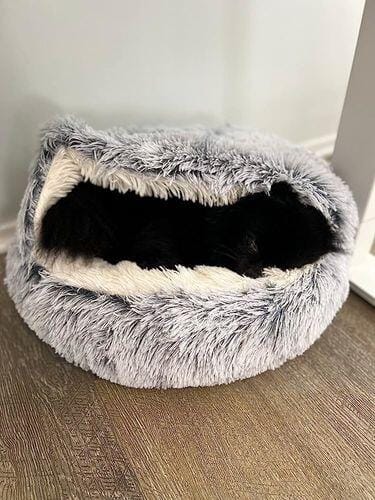 Customer photo review of Snuggle Haven Deluxe Pet Bed