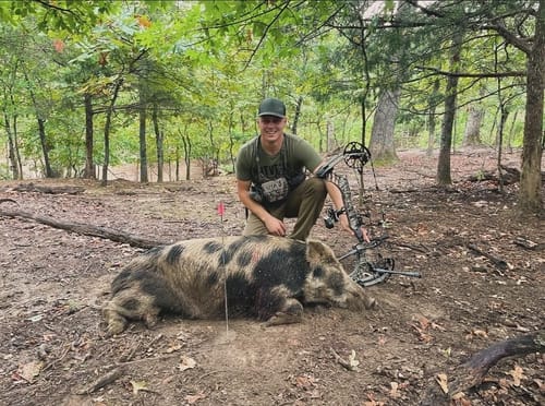 Customer photo review of Beast Broadheads (2-Pack + Practice Tip)