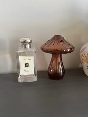Customer photo review of MYCÉLIUM®
