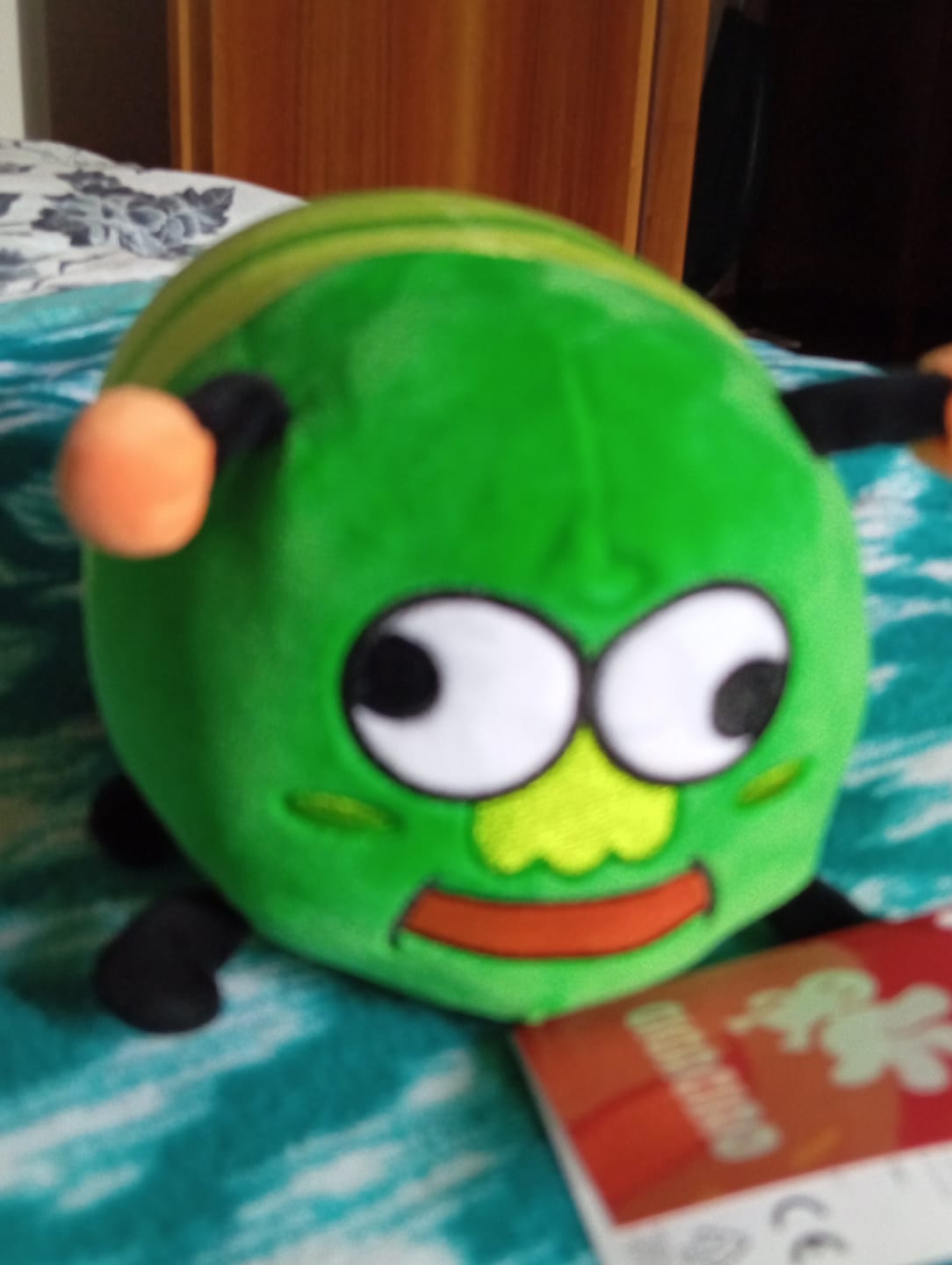 Customer photo review of PREORDINE Peluche Bruco Gianluco + Albo Fumetti e Canzoni!