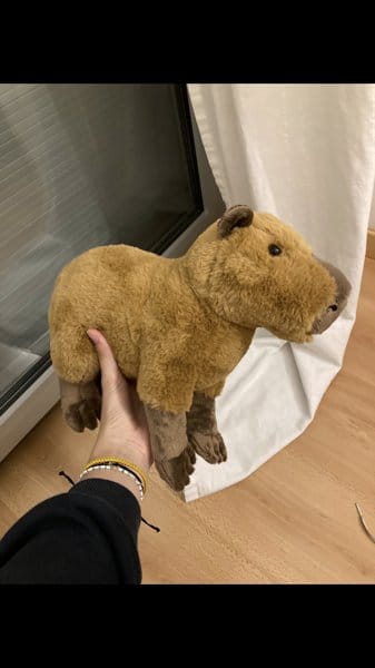 Customer photo review of Lifelike Capybara Soft Stuffed Plush Toy