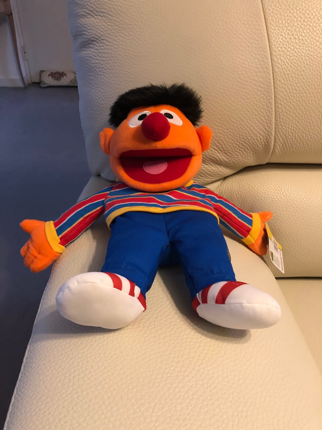 Customer photo review of Ernie Marionnette
