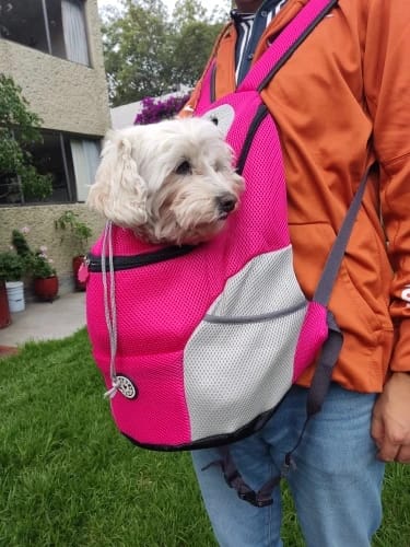 Customer photo review of Fur Sport Backpack