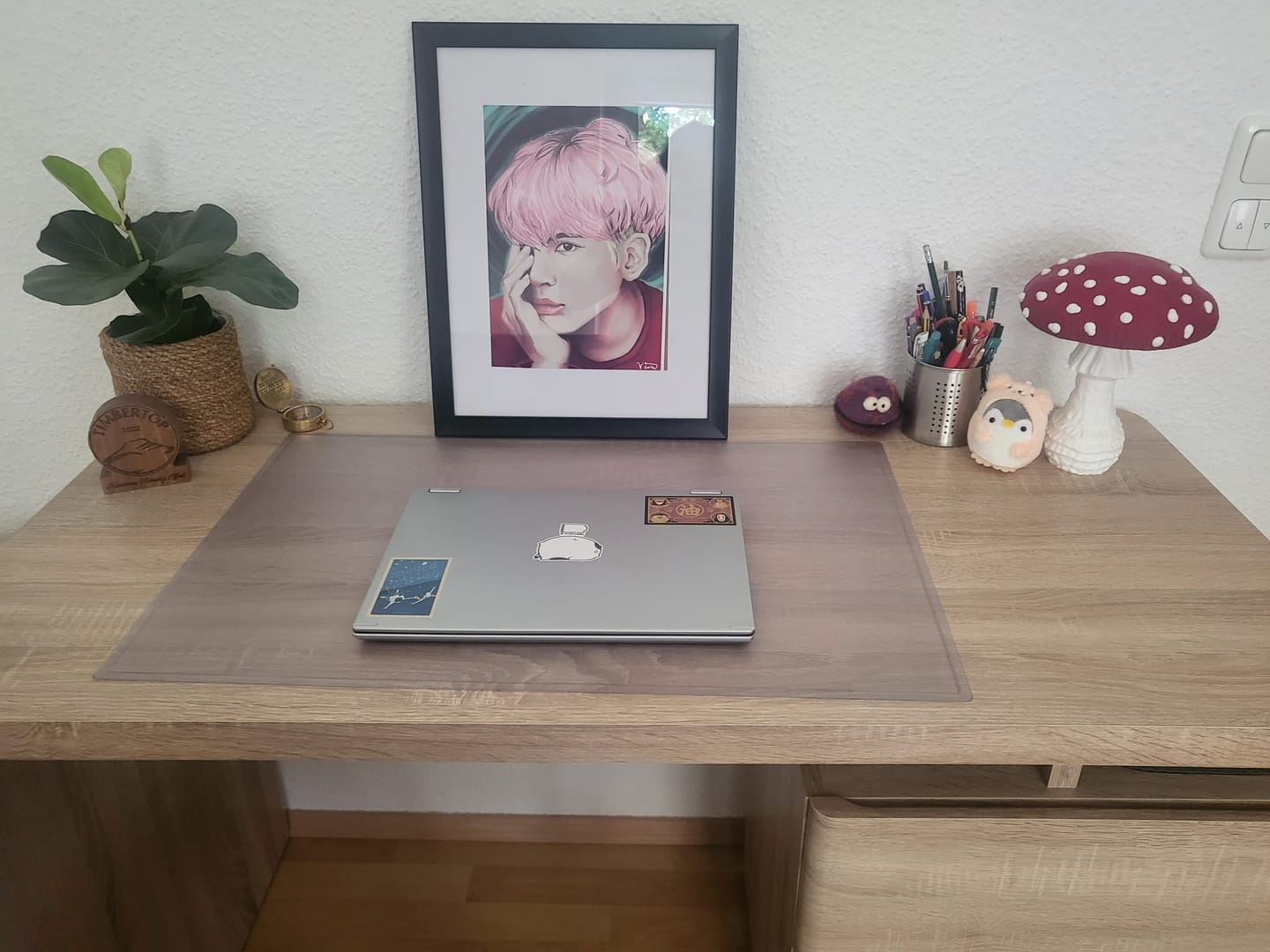Customer photo review of Amanita Pilz Lampenschirm-Kit