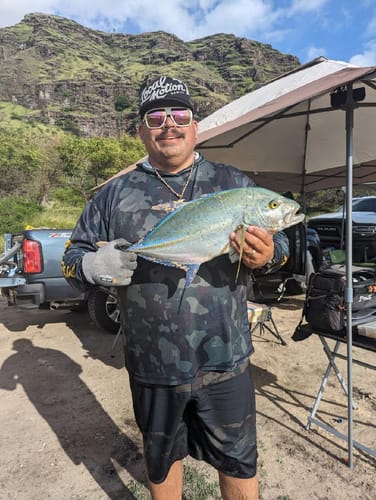 Customer photo review of Blue Wave 300-2000 Yard Spools