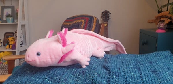 Customer photo review of Pink Axolotl Soft Stuffed Plush Toy